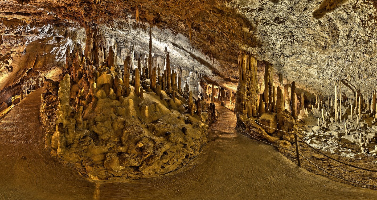 Škocjan Caves