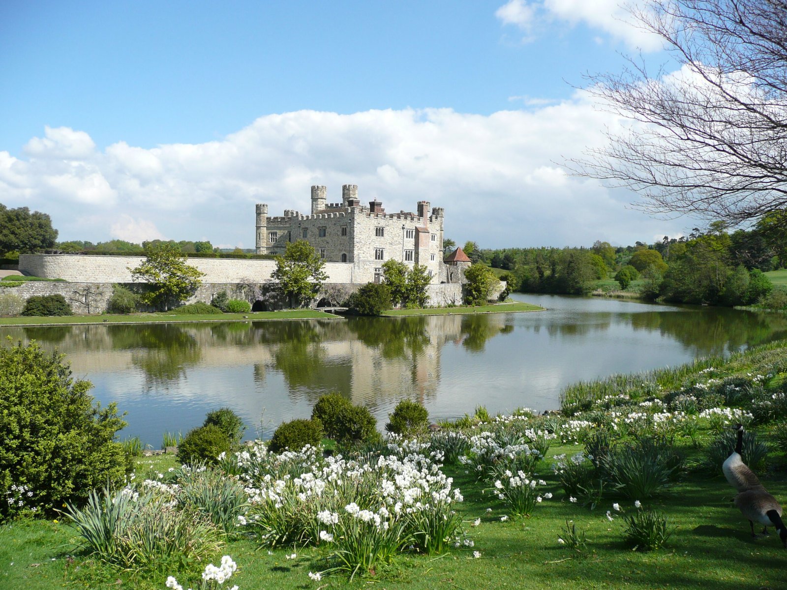 Leeds Castle Maze and Grotto
