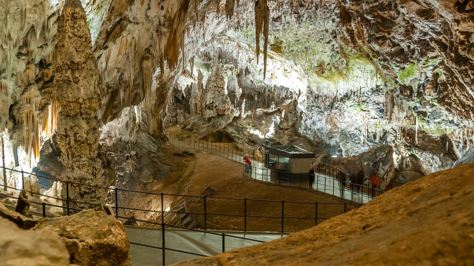Concert Hall (Postojna Cave)