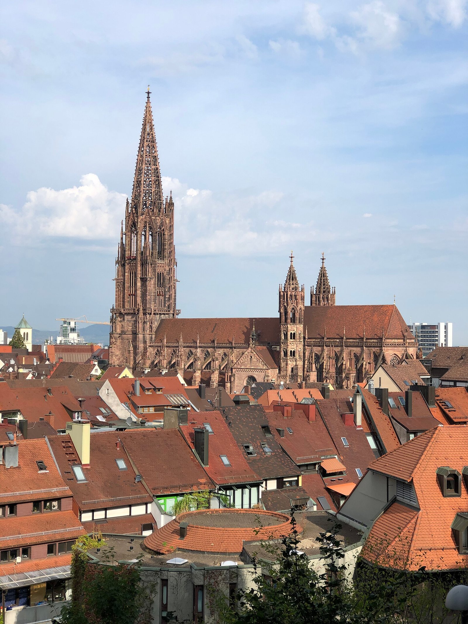 Basel to Freiburg: The Perfect Day Trip Guide (2026)