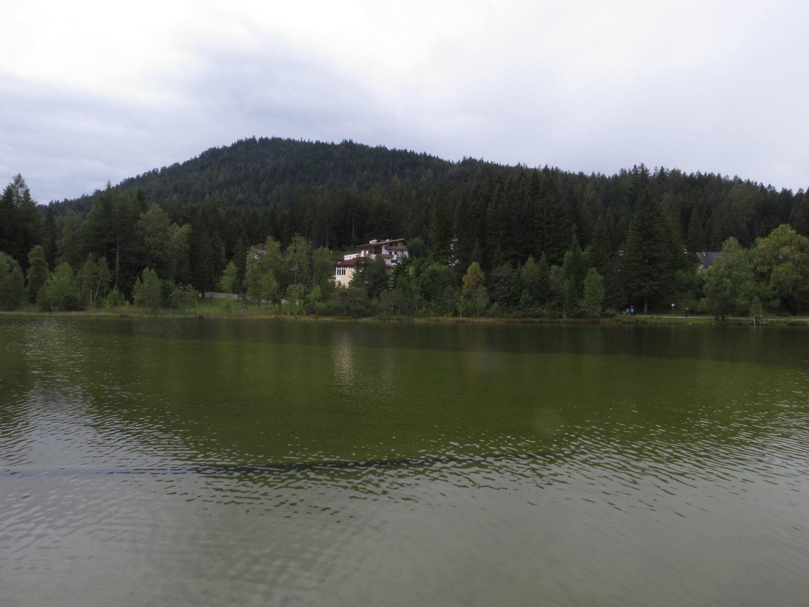 Gschwandtkopf